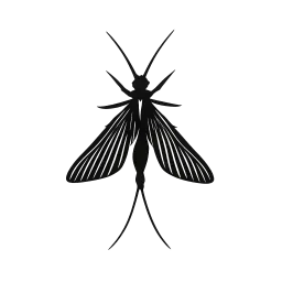 Fishfly Republic